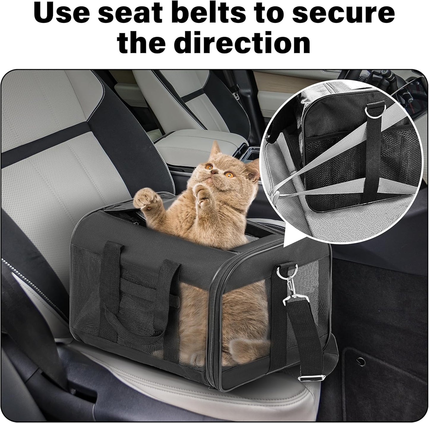 Soft-Sided Portable Pet Travel Carrier for Cats and Small Dogs, Airline Approved, Collapsible and Durable, Maximum Capacity 17 lbs (Medium)