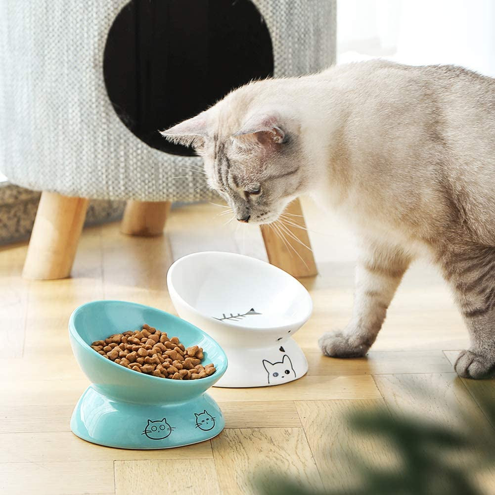Elevated Ceramic Cat Bowls for Food and Water, Slanted Design for Spine Protection and Stress-Free Feeding, Backflow Prevention, White Porcelain Finish