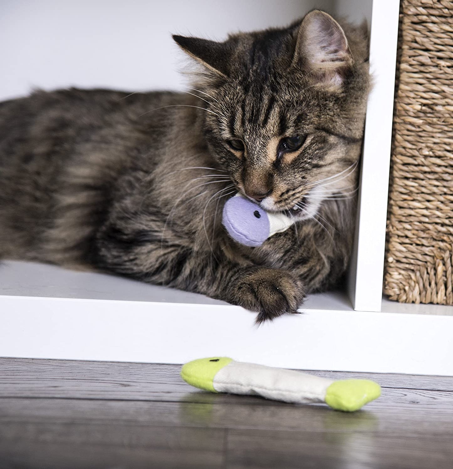 Fish Flop Crinkle Catnip Cat Toys - Set of 3, Multi-Color