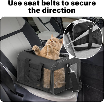 Soft-Sided Portable Pet Travel Carrier for Cats and Small Dogs, Airline Approved, Collapsible and Durable, Maximum Capacity 17 lbs (Medium)