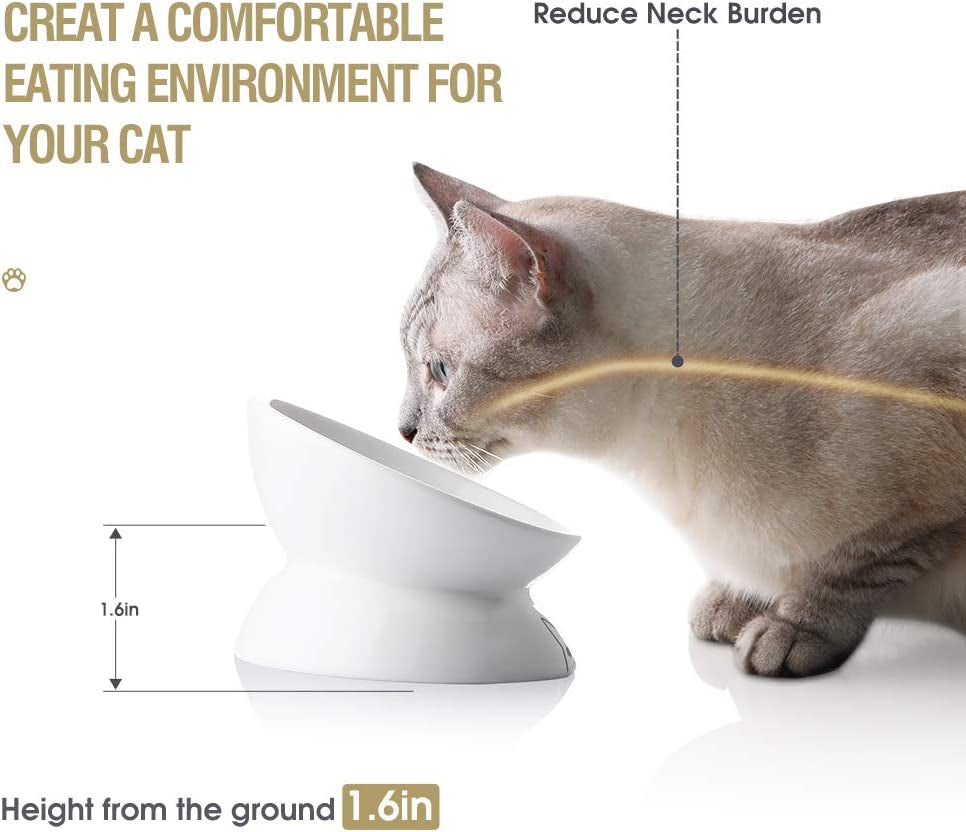 Elevated Ceramic Cat Bowls for Food and Water, Slanted Design for Spine Protection and Stress-Free Feeding, Backflow Prevention, White Porcelain Finish