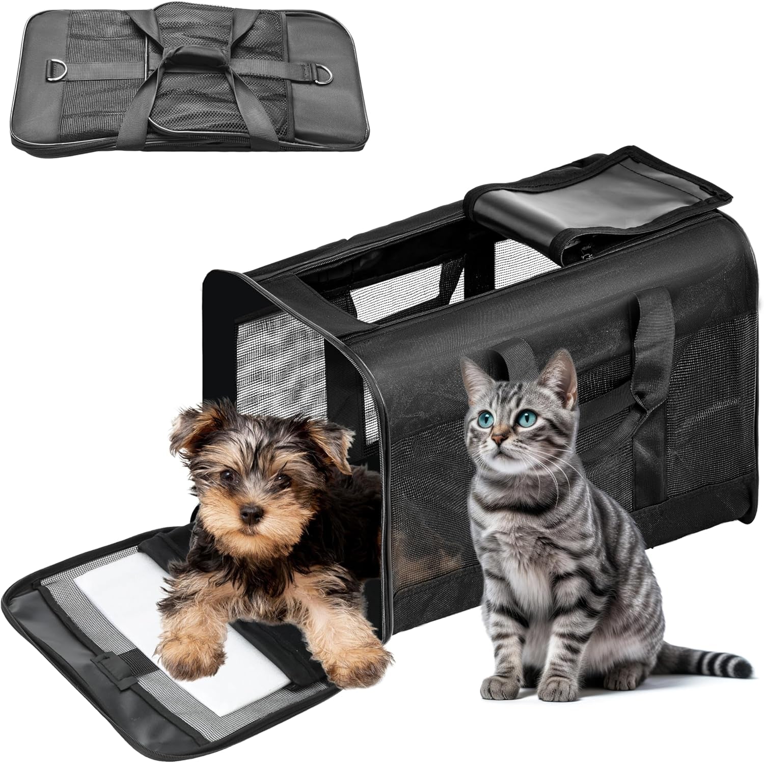 Soft-Sided Portable Pet Travel Carrier for Cats and Small Dogs, Airline Approved, Collapsible and Durable, Maximum Capacity 17 lbs (Medium)