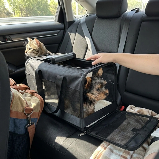 Lifestyle image